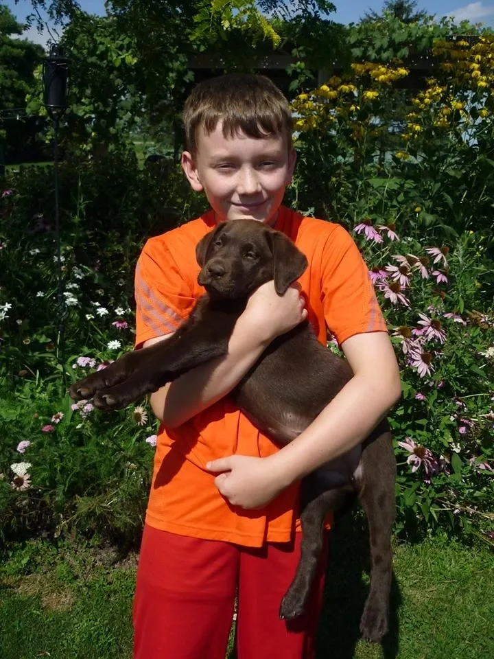 lab puppy and his boy master