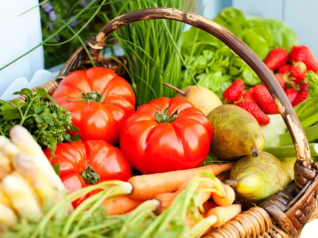 Dog superfoods that fight cancer