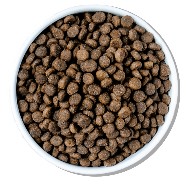 a bowl of fresh food for a labrador retriever